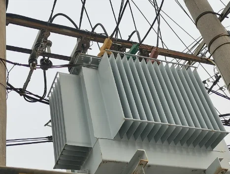 315 KVA Transformer Pole-Mount Installation in a Remote Village 315 KVA Transformer Pole-Mount Installation in a Remote Village